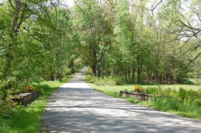 Treelined Paved Drive - Country homes for sale and luxury real estate including horse farms and property in the Caledon and King City areas near Toronto