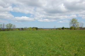 Kettleby Farm - Country Homes for sale and Luxury Real Estate in Caledon and King City including Horse Farms and Property for sale near Toronto