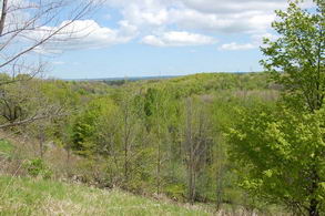 Kettleby Farm, King - Country homes for sale and luxury real estate including horse farms and property in the Caledon and King City areas near Toronto
