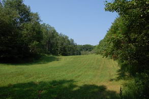 42 Acres, 16th Sdrd, King - Country homes for sale and luxury real estate including horse farms and property in the Caledon and King City areas near Toronto
