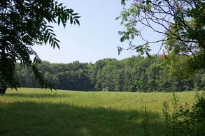 42 Acres, 16th Sdrd, King - Country homes for sale and luxury real estate including horse farms and property in the Caledon and King City areas near Toronto