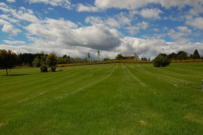 View of Backyard - Country homes for sale and luxury real estate including horse farms and property in the Caledon and King City areas near Toronto