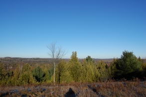 Scenic Land Uxbridge, Uxbridge - Country homes for sale and luxury real estate including horse farms and property in the Caledon and King City areas near Toronto