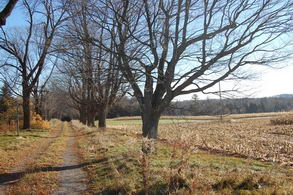 Scenic Land Uxbridge, Uxbridge - Country homes for sale and luxury real estate including horse farms and property in the Caledon and King City areas near Toronto