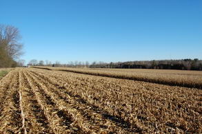 Scenic Land Uxbridge, Uxbridge - Country homes for sale and luxury real estate including horse farms and property in the Caledon and King City areas near Toronto