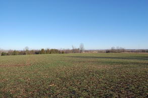 Scenic Land Uxbridge, Uxbridge - Country homes for sale and luxury real estate including horse farms and property in the Caledon and King City areas near Toronto