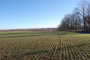 Scenic Land Uxbridge, Uxbridge - Country homes for sale and luxury real estate including horse farms and property in the Caledon and King City areas near Toronto