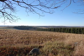 Scenic Land Uxbridge, Uxbridge - Country homes for sale and luxury real estate including horse farms and property in the Caledon and King City areas near Toronto