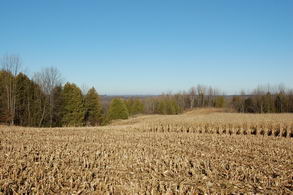 Scenic Land Uxbridge, Uxbridge - Country homes for sale and luxury real estate including horse farms and property in the Caledon and King City areas near Toronto
