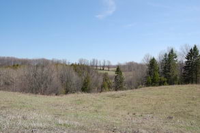 Hilly Haven Farm, Caledon - Country homes for sale and luxury real estate including horse farms and property in the Caledon and King City areas near Toronto