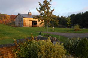 Award winning Barn and Riding Ring - Country homes for sale and luxury real estate including horse farms and property in the Caledon and King City areas near Toronto