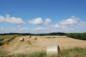 Highview Farm, King - Country homes for sale and luxury real estate including horse farms and property in the Caledon and King City areas near Toronto