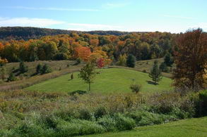 Caledon Views - Country homes for sale and luxury real estate including horse farms and property in the Caledon and King City areas near Toronto