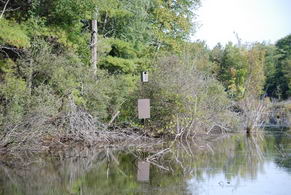 Wood Duck Box - Country homes for sale and luxury real estate including horse farms and property in the Caledon and King City areas near Toronto