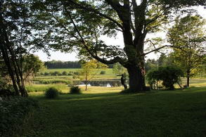 View to Pond - Country homes for sale and luxury real estate including horse farms and property in the Caledon and King City areas near Toronto