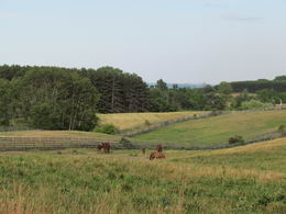 Countryside Views - Country homes for sale and luxury real estate including horse farms and property in the Caledon and King City areas near Toronto