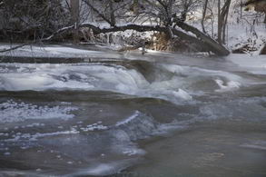 Credit River Meanders through the Woods - Country homes for sale and luxury real estate including horse farms and property in the Caledon and King City areas near Toronto