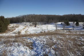 Skating on the Pond - Country homes for sale and luxury real estate including horse farms and property in the Caledon and King City areas near Toronto