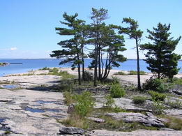 Killarney Island, Georgian Bay - Country homes for sale and luxury real estate including horse farms and property in the Caledon and King City areas near Toronto