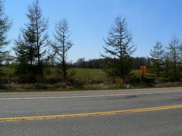30 Acres, Caledon, Caledon - Country homes for sale and luxury real estate including horse farms and property in the Caledon and King City areas near Toronto