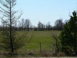 30 Acres, Caledon, Caledon - Country homes for sale and luxury real estate including horse farms and property in the Caledon and King City areas near Toronto