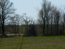 Country homes for sale and luxury real estate including horse farms and property in the Caledon and King City areas near Toronto