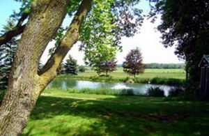 Pond - Country homes for sale and luxury real estate including horse farms and property in the Caledon and King City areas near Toronto