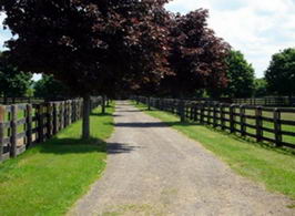Country homes for sale and luxury real estate including horse farms and property in the Caledon and King City areas near Toronto