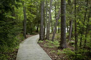 The Gardens - Country homes for sale and luxury real estate including horse farms and property in the Caledon and King City areas near Toronto