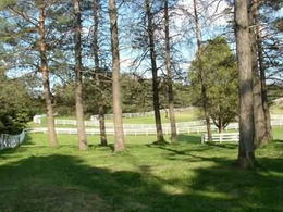 Approximately 20 acres of hardwood bush - Country homes for sale and luxury real estate including horse farms and property in the Caledon and King City areas near Toronto