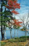 Sherrynoll Island - Country homes for sale and luxury real estate including horse farms and property in the Caledon and King City areas near Toronto