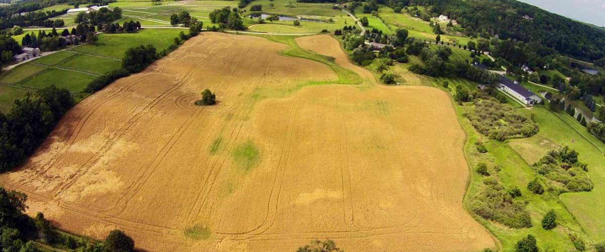 Country Homes for sale and Luxury Real Estate in Caledon and King City including Horse Property and Farms for sale